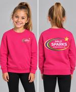 Load image into Gallery viewer, HSGC Sweat shirt
